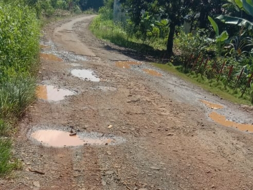 Armada Galian C Diduga Penyumbang Utama Kerusakan Ruas Jalan Simpang Setia - Waytuba