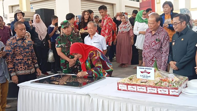 Pasar Raya Lebak Budi Harapan Baru Kota Bandarlampung