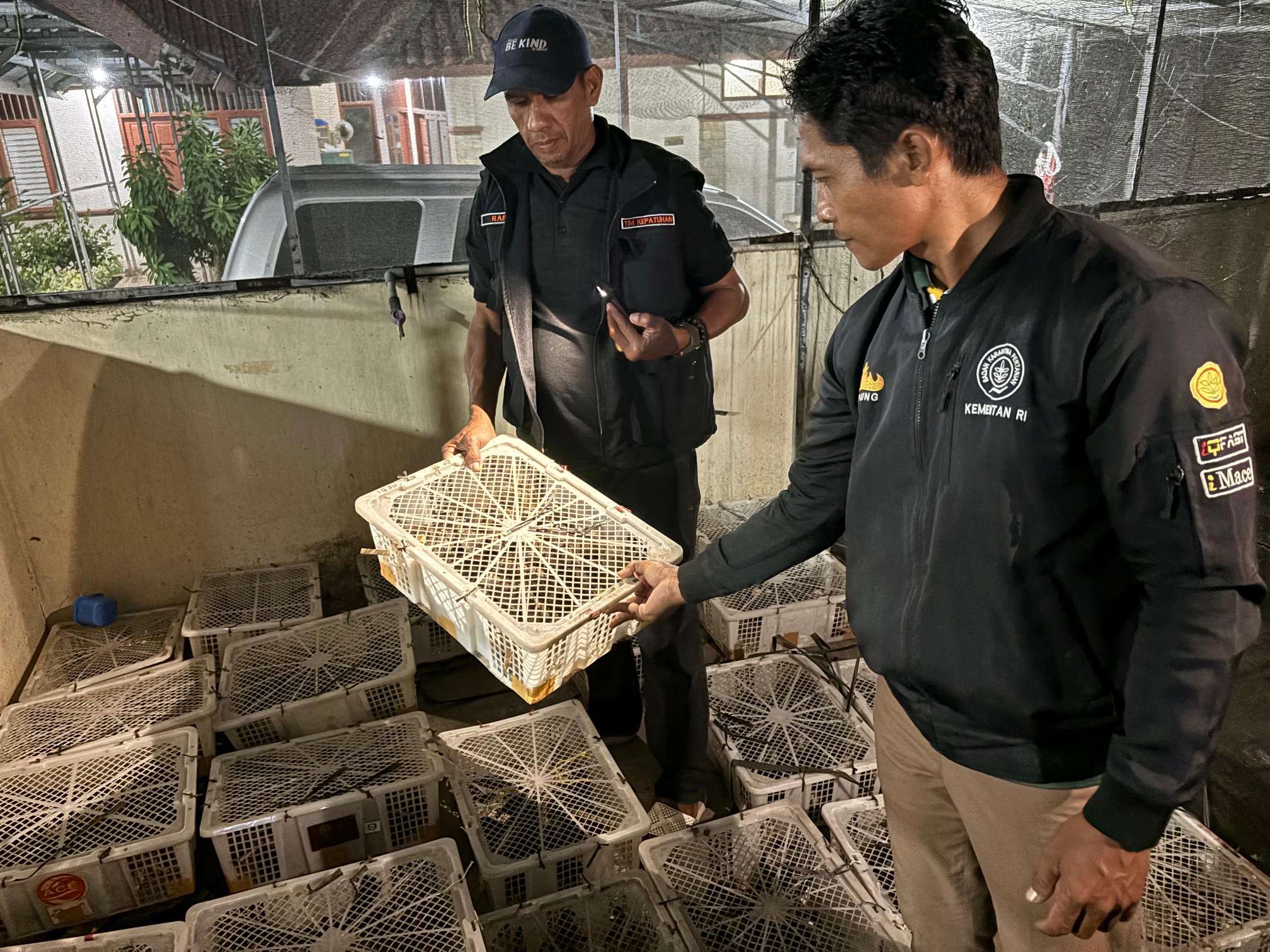 Petugas Gagalkan Penyelundupan Ribuan Burung di Bakauheni