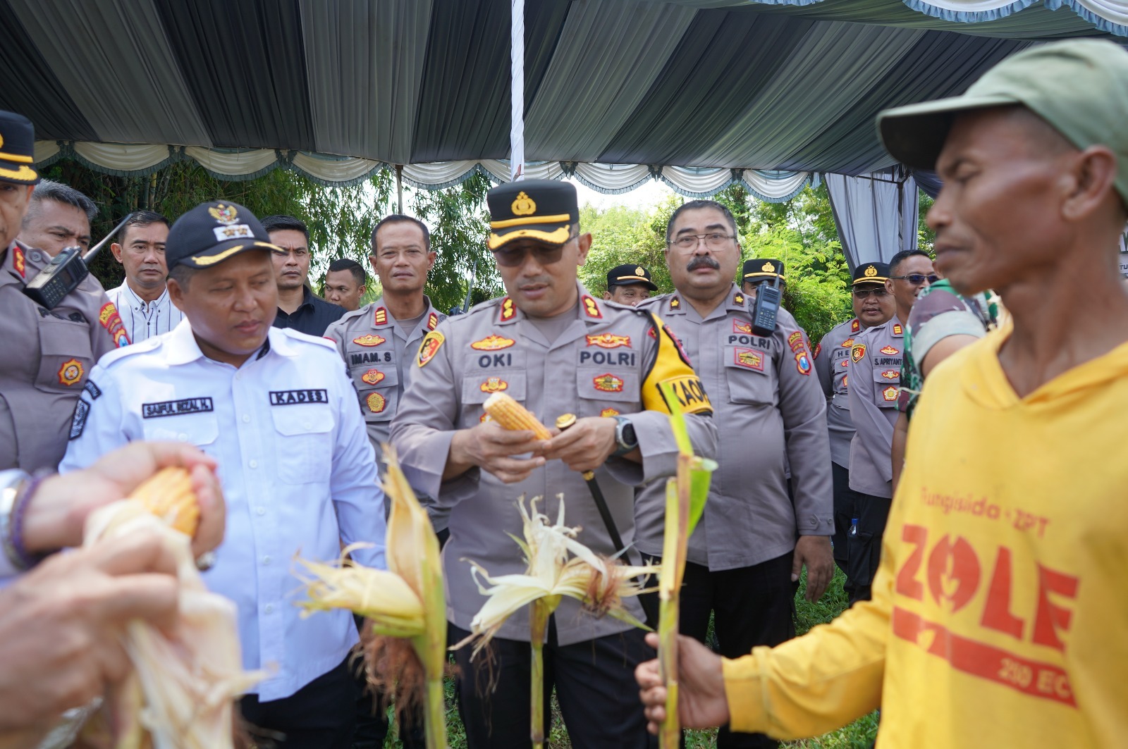Polres Probolinggo Kota Dukung Swasembada Pangan dengan Panen Raya Jagung
