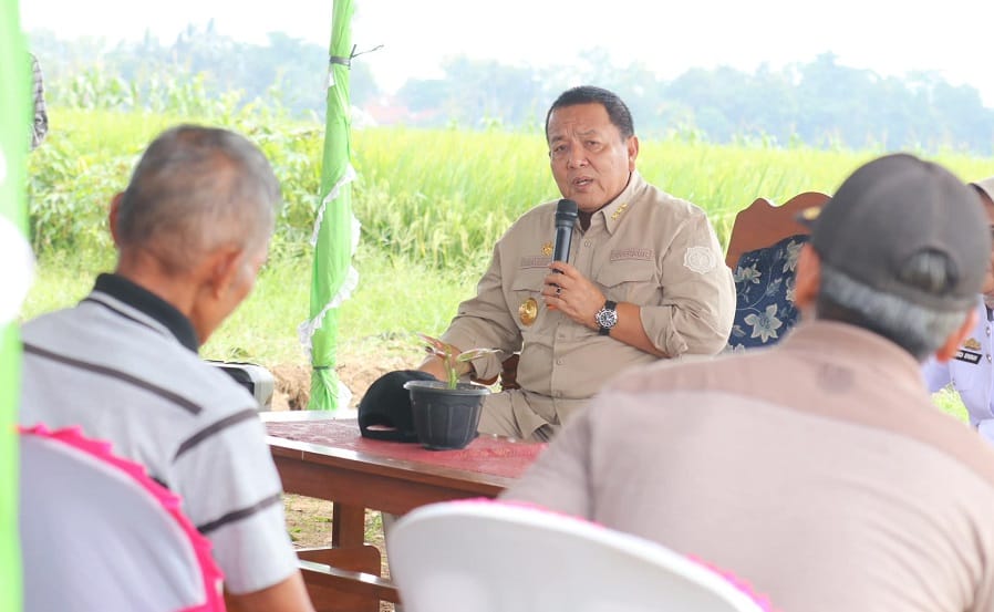Gubernur Tinjau Lahan Pertanian di Kabupaten Lampung Tengah