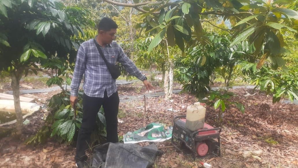 IRT di Lambar Tewas Tersengat Perangkap Babi Hutan