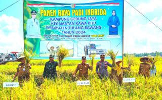 Pj Bupati Tulang Bawang Hadiri Panen Raya di Kampung Gedung Jaya Rawa Pitu