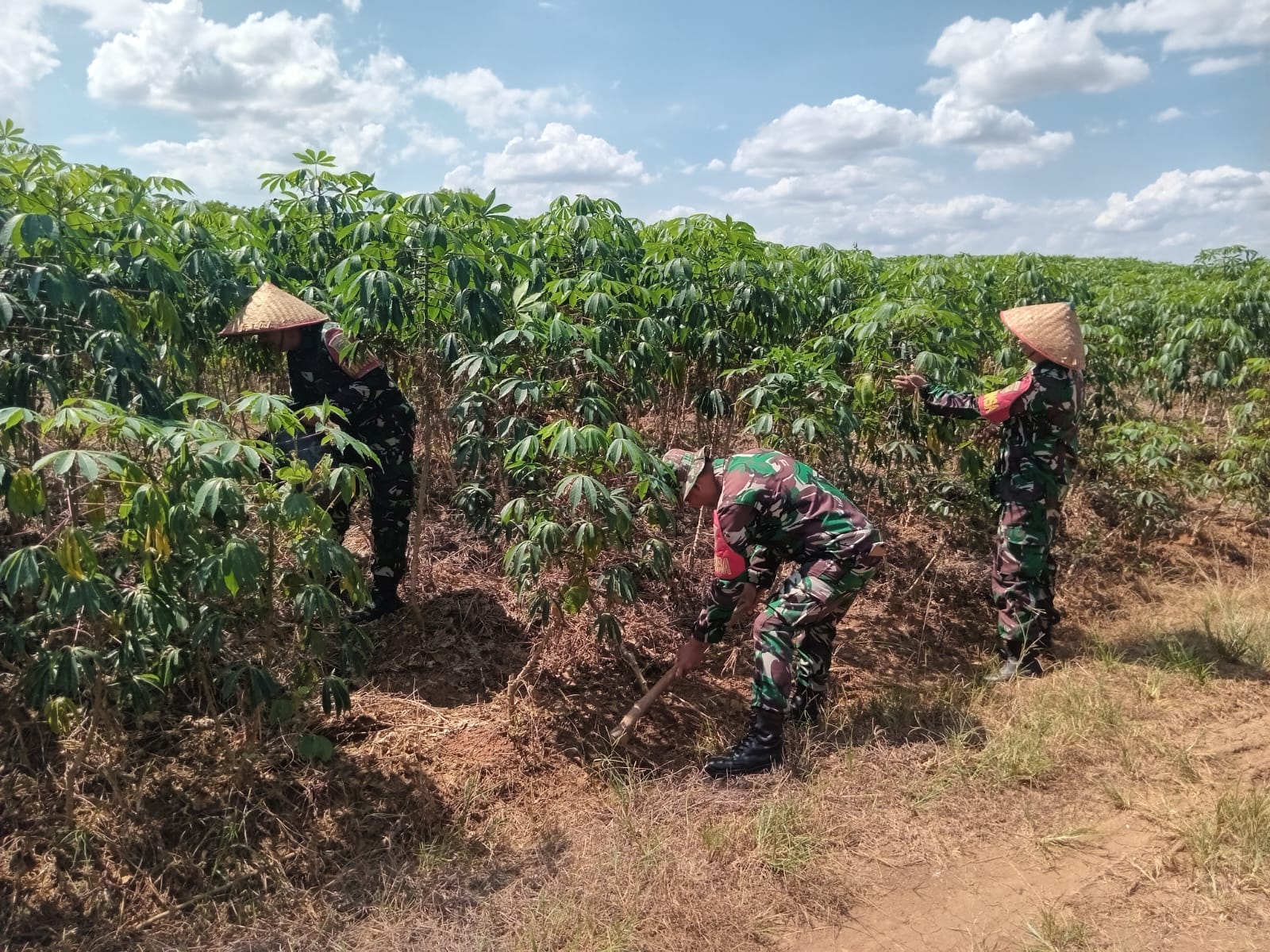 Koramil 0410-01/PJG Bersama Warga Wujudkan Kemandirian Pangan di Sukarame