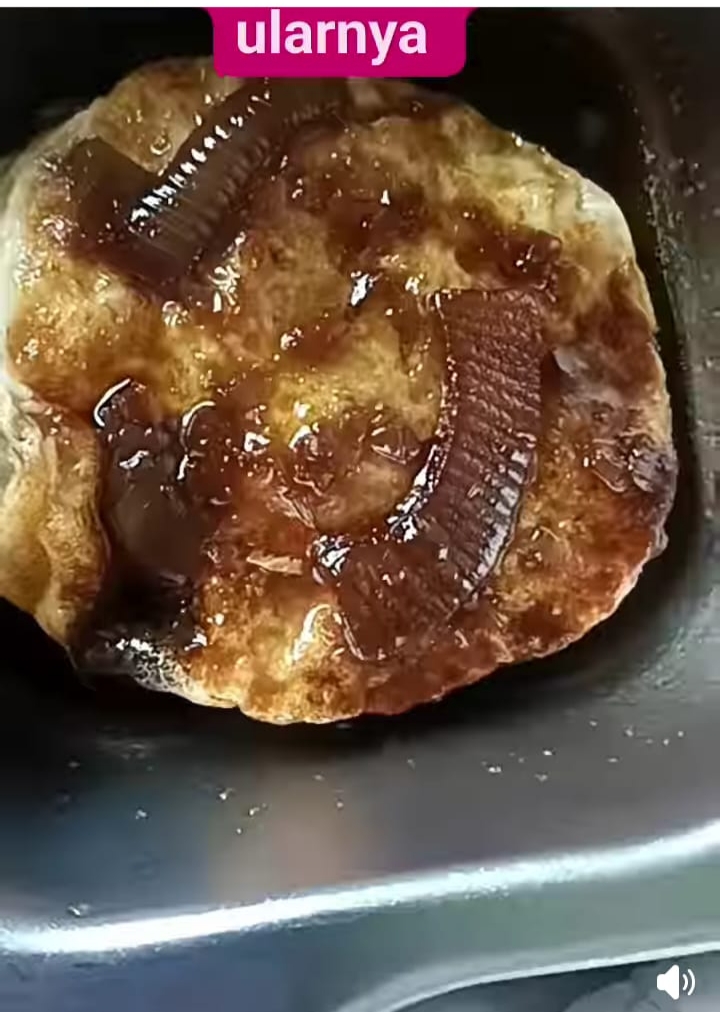 Beredar Video Makanan Bergizi Mengandung Belatung, Orang Tua Siswa SDN 1 Karang Agung Resah