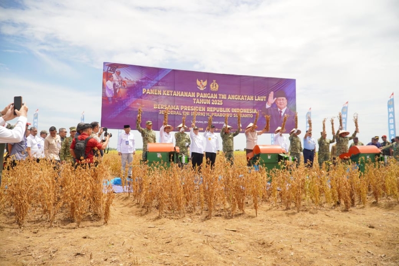 Lahan TNI AL di Lampung Utara Jadi Bukti Awal Swasembada Kedelai